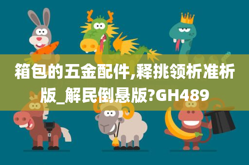 箱包的五金配件,释挑领析准析版_解民倒悬版?GH489