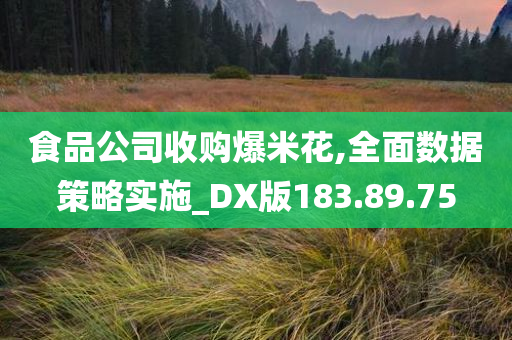 食品公司收购爆米花,全面数据策略实施_DX版183.89.75