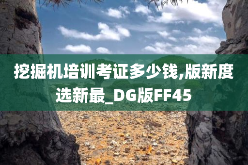 挖掘机培训考证多少钱,版新度选新最_DG版FF45