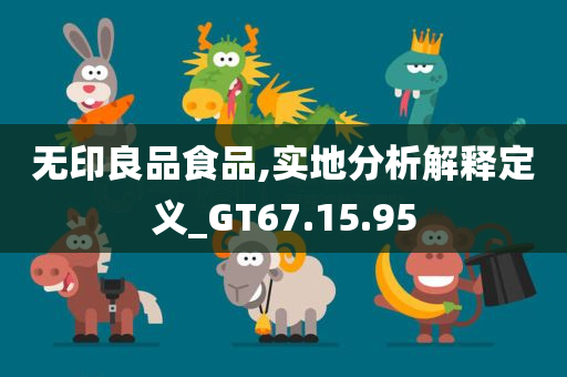 无印良品食品,实地分析解释定义_GT67.15.95