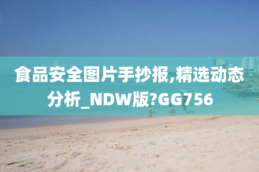 食品安全图片手抄报,精选动态分析_NDW版?GG756