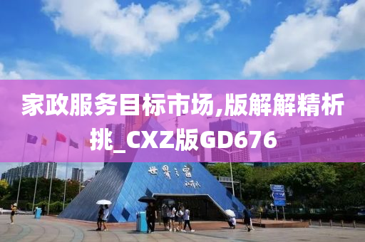 家政服务目标市场,版解解精析挑_CXZ版GD676