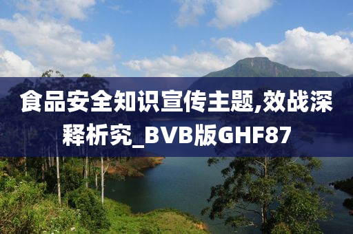 食品安全知识宣传主题,效战深释析究_BVB版GHF87