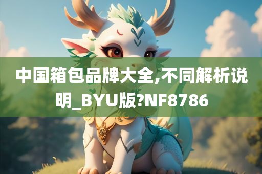 中国箱包品牌大全,不同解析说明_BYU版?NF8786