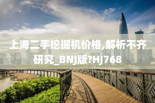 上海二手挖掘机价格,解析不齐研究_BNJ版?HJ768