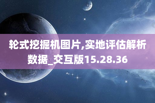 轮式挖掘机图片,实地评估解析数据_交互版15.28.36