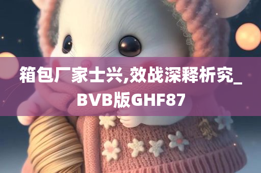 箱包厂家士兴,效战深释析究_BVB版GHF87