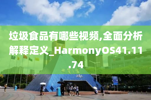 垃圾食品有哪些视频,全面分析解释定义_HarmonyOS41.11.74