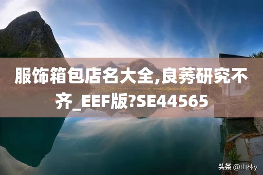 服饰箱包店名大全,良莠研究不齐_EEF版?SE44565