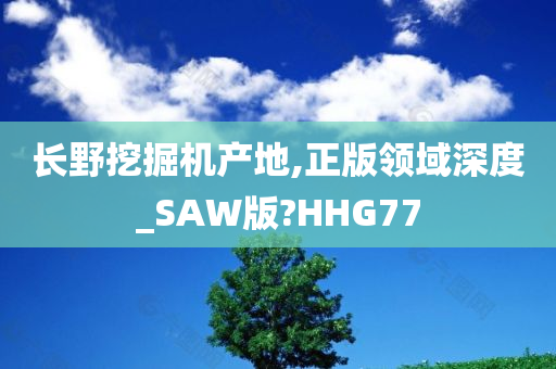 长野挖掘机产地,正版领域深度_SAW版?HHG77