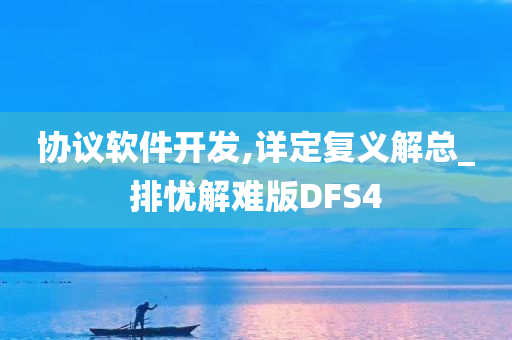 协议软件开发,详定复义解总_排忧解难版DFS4