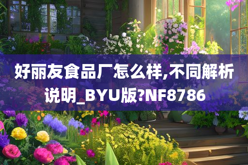 好丽友食品厂怎么样,不同解析说明_BYU版?NF8786