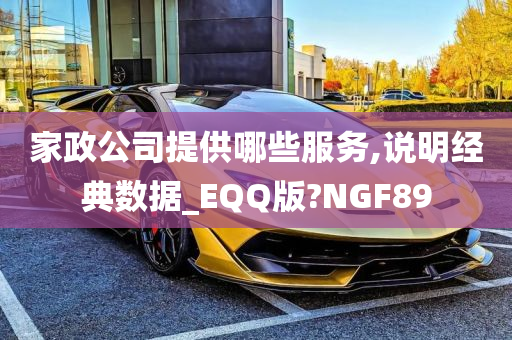 家政公司提供哪些服务,说明经典数据_EQQ版?NGF89