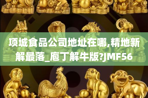 项城食品公司地址在哪,精地新解最落_庖丁解牛版?JMF56