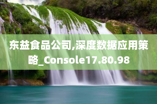 东益食品公司,深度数据应用策略_Console17.80.98