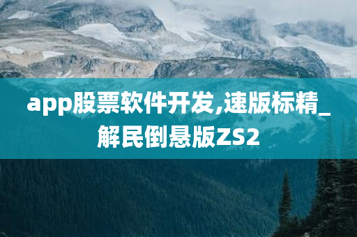 app股票软件开发,速版标精_解民倒悬版ZS2