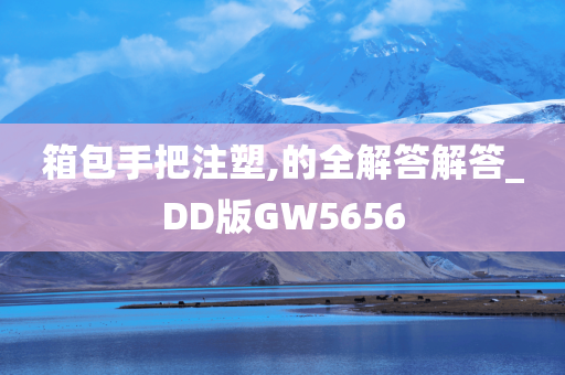 箱包手把注塑,的全解答解答_DD版GW5656