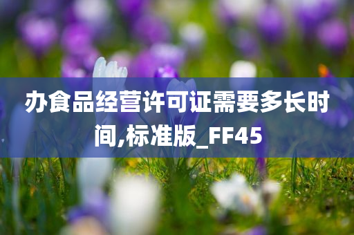 办食品经营许可证需要多长时间,标准版_FF45