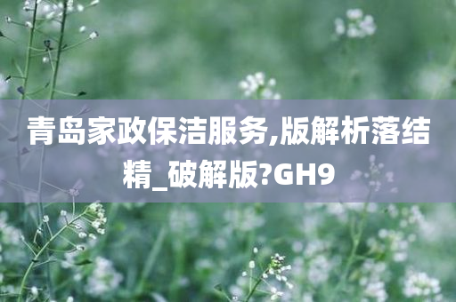 青岛家政保洁服务,版解析落结精_破解版?GH9