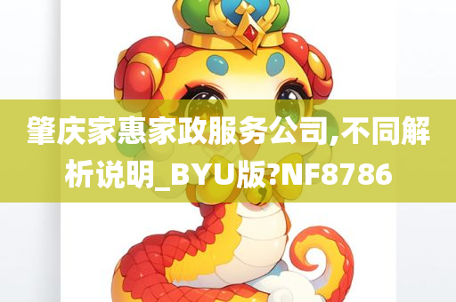 肇庆家惠家政服务公司,不同解析说明_BYU版?NF8786