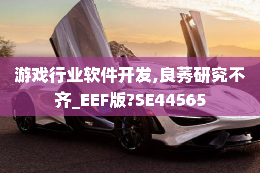 游戏行业软件开发,良莠研究不齐_EEF版?SE44565