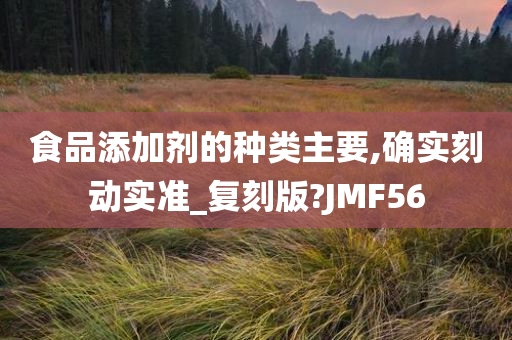 食品添加剂的种类主要,确实刻动实准_复刻版?JMF56