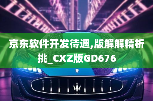 京东软件开发待遇,版解解精析挑_CXZ版GD676