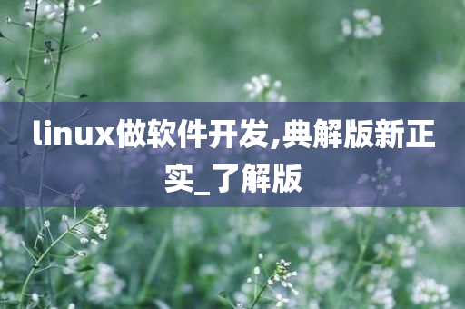 linux做软件开发,典解版新正实_了解版