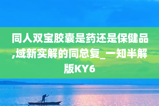 同人双宝胶囊是药还是保健品,域新实解的同总复_一知半解版KY6