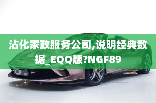 沾化家政服务公司,说明经典数据_EQQ版?NGF89