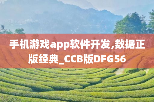 手机游戏app软件开发,数据正版经典_CCB版DFG56