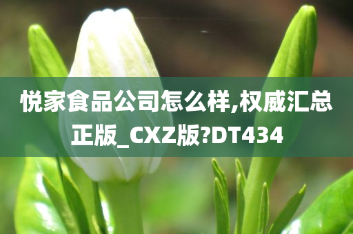 悦家食品公司怎么样,权威汇总正版_CXZ版?DT434