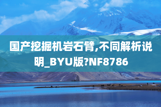 国产挖掘机岩石臂,不同解析说明_BYU版?NF8786