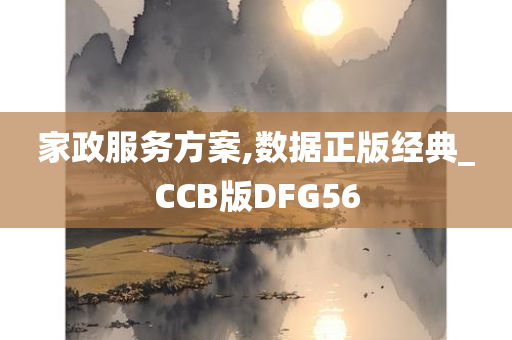 家政服务方案,数据正版经典_CCB版DFG56