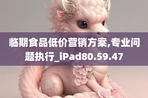 临期食品低价营销方案,专业问题执行_iPad80.59.47