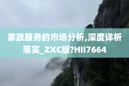 家政服务的市场分析,深度详析落实_ZXC版?HII7664