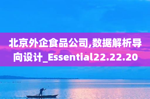 北京外企食品公司,数据解析导向设计_Essential22.22.20