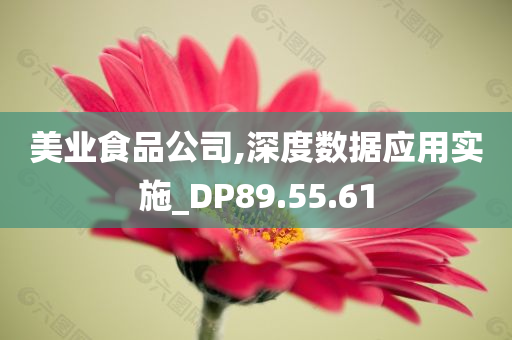 美业食品公司,深度数据应用实施_DP89.55.61