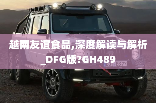 越南友谊食品,深度解读与解析_DFG版?GH489