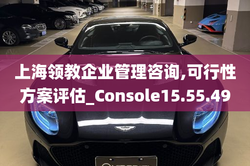 上海领教企业管理咨询,可行性方案评估_Console15.55.49