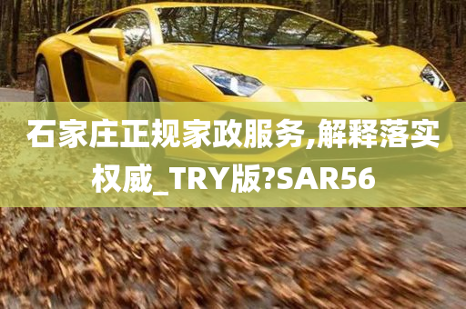 石家庄正规家政服务,解释落实权威_TRY版?SAR56