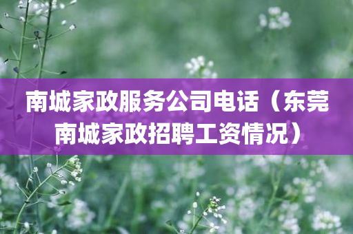 南城家政服务公司电话（东莞南城家政招聘工资情况）