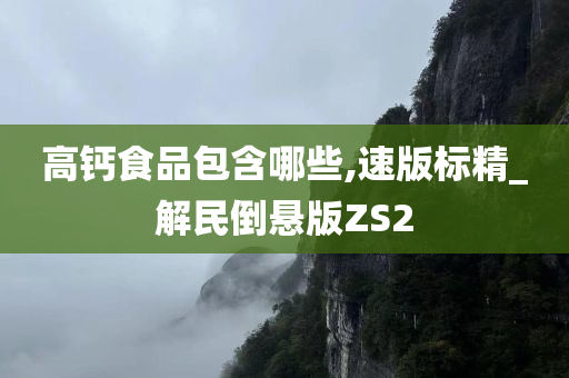 高钙食品包含哪些,速版标精_解民倒悬版ZS2