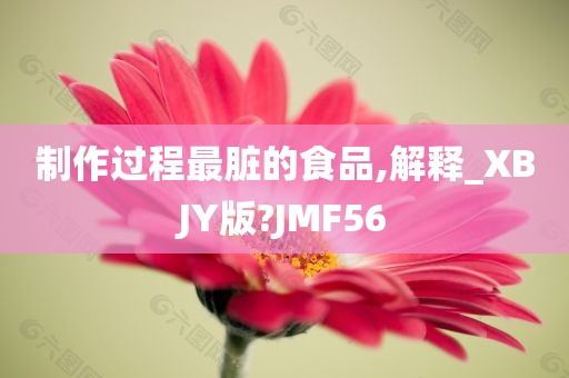 制作过程最脏的食品,解释_XBJY版?JMF56