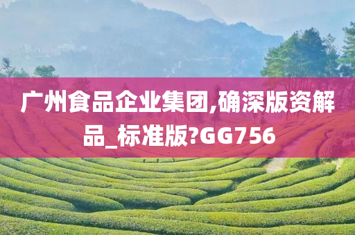 广州食品企业集团,确深版资解品_标准版?GG756