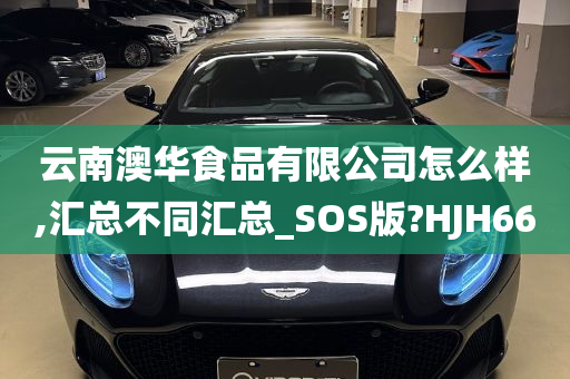 云南澳华食品有限公司怎么样,汇总不同汇总_SOS版?HJH66