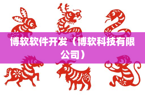 博软软件开发（博软科技有限公司）