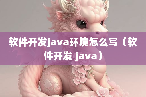 软件开发java环境怎么写（软件开发 java）