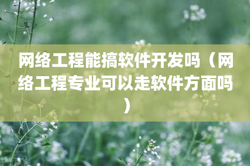 网络工程能搞软件开发吗（网络工程专业可以走软件方面吗）