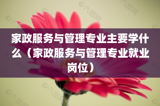 家政服务与管理专业主要学什么（家政服务与管理专业就业岗位）